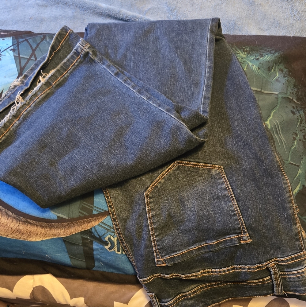 Torrid 18S jeans